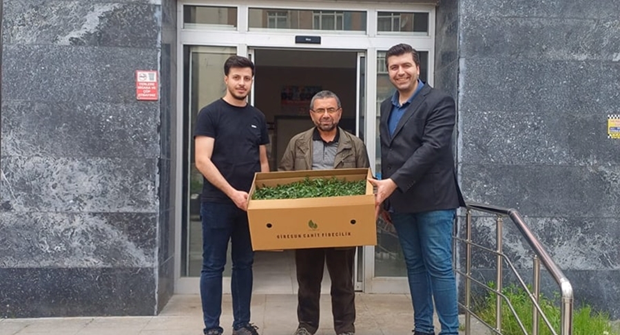 YÜZDE 75 HİBELİ DOMATES FİDESİ DAĞITILDI