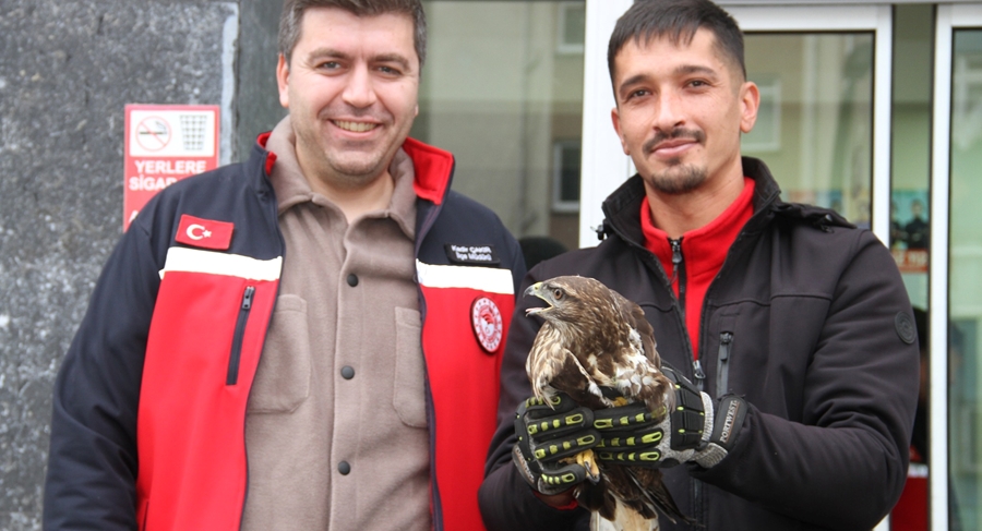 YARALI DOĞAN KORUMA ALTINA ALINDI