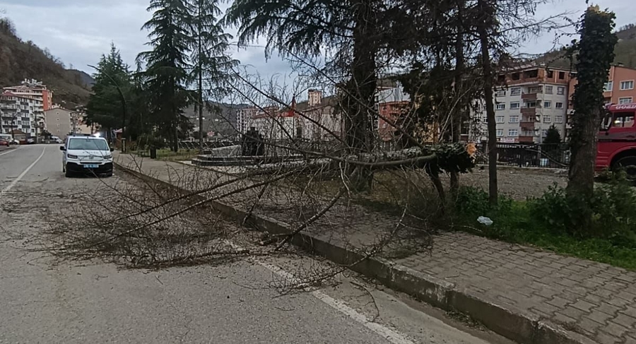 YAĞLIDEREDE DÜN ŞİDDETLİ RÜZGÂR ETKİLİ OLDU