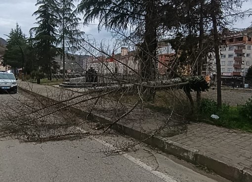YAĞLIDEREDE DÜN ŞİDDETLİ RÜZGÂR ETKİLİ OLDU