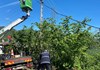 AHALLI MAHALLESİNDE  ELEKTİRK ALT YAPIISINI GÜÇLENDİRMEK İÇİN ÇALIŞMALAR YAPILIYOR